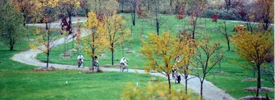 Cyclists riding along a trail past trees in autumn